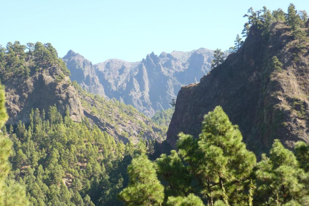 El Porvenir Los Llanos De Aridane Exterior foto